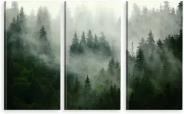 tryptyk-obraz-na-plotnie-las-natura-mgla-max-wz