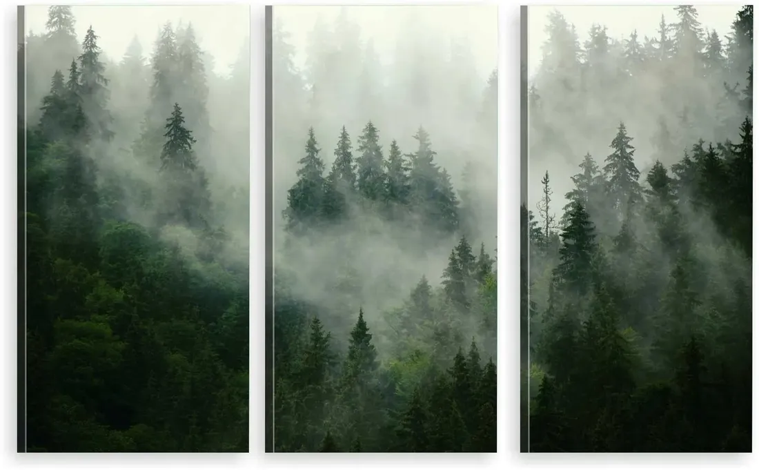 tryptyk-obraz-na-plotnie-las-natura-mgla-max-wz
