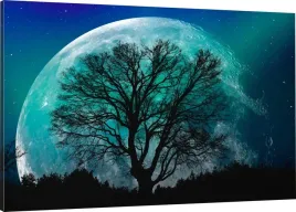 obraz-na-plotnie-drzewo-ksiezyc-noc-120x80-980-wz
