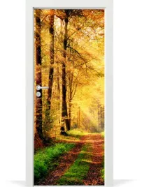 naklejka-fototapeta-na-drzwi-las-jesienia