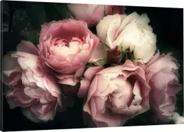 obraz-na-plotnie-kwiat-peonia-piwonia-110x70-hit