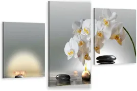 tryptyki-obraz-na-sciane-spa-orchidea-800-wzorow