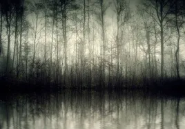 plakat-poster-las-natura-mgla-90x60-maxwybor