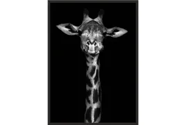 obraz-plakat-40x30-zyrafa-na-ciemnym-tle-poster