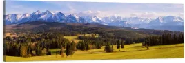 obraz-panoramiczny-do-salonu-tatry-gory-las-krajobraz-gorski-120x40