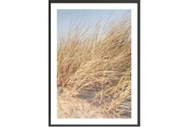 obraz-plakat-40x30-sucha-trawa-boho-plaza-piach