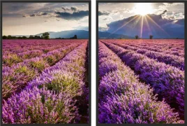 obraz-plakaty-dyptyk-60x40-pole-lawendy-plakat