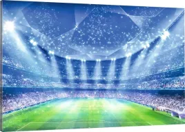 obraz-na-plotnie-stadion-pilkarski-pilka-120x80