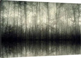 obraz-na-plotnie-mroczne-drzewa-120x80-980-wzorow