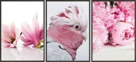 zestaw-plakatow-postery-3x-30x40-kwiaty-ptak-roz
