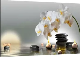 obraz-na-plotnie-spa-orchidea-90x60-800-wzorow