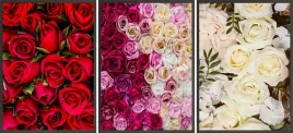 zestaw-plakatow-postery-3x-50x70-roze-czerwien-roz
