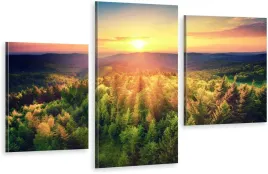 tryptyki-obraz-na-sciane-bieszczady-gory-las-hit