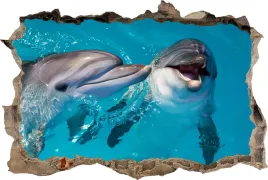 fototapeta-dziura-3d-naklejka-na-sciane-delfiny