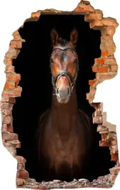 naklejki-na-sciane-fototapeta-dziura-708-kon