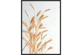 obraz-plakat-70x50-boho-zboze-trawa-do-jadalni
