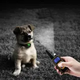 obroza-dla-psa-materialowa-reverse-kolor-dodatkowy-zolty