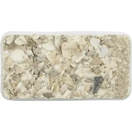 wapienko-z-muszlami-dla-wszystkich-papug-30g