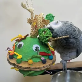 cudownie-radosna-zabawka-or-piniata-or-dla-wszystkich-papug
