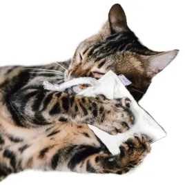 canadian-cat-or-poduszeczka-dla-kota-or-felty-or-biala-or-waleriana-5g