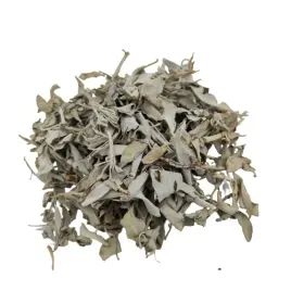 biala-szalwia-liscie-1kg
