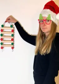 most-drabinka-dla-papug-or-zabawka-dla-malych-i-srednich-papug
