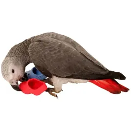 zabawka-do-lapki-dla-papug-wesole-klapki
