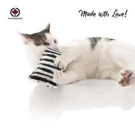 canadian-cat-or-poduszeczka-dla-kota-or-zebra-or-kocimietka