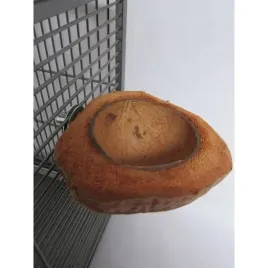 naturalna-miska-dla-papug-miseczka-coconut-bowl
