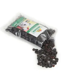 wagner-s-chrupiace-owoce-jagody-dla-papug-150g