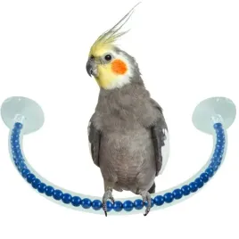 zerdz-zerdka-pod-prysznic-m-dla-srednich-papug