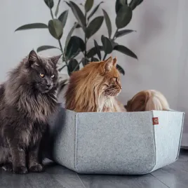 canadian-cat-or-ava-or-legowisko-or-kosz-dla-kota-or-z-filcu-or-rozm-l