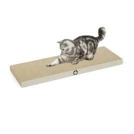 canadian-cat-or-saturn-or-drapak-dla-kota-or-kotow-or-bialy