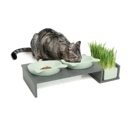 canadian-cat-or-koci-bar-or-zestaw-misek-dla-kota-or-miska-z-podstawka-mietowe