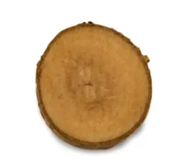 zabawka-dla-papug-plaster-drewna-brzozowego-diy