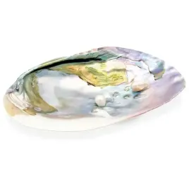 muszla-z-masy-perlowej-15-16cm-z-perlami