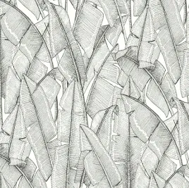 tapeta-na-sciane-duze-liscie-bananowca-czarno-biala-zmywalna