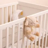 cloud-b-sleep-sheep