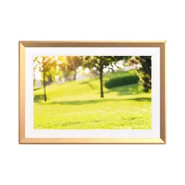 ramka-cyfrowa-arzopa-101-zloty