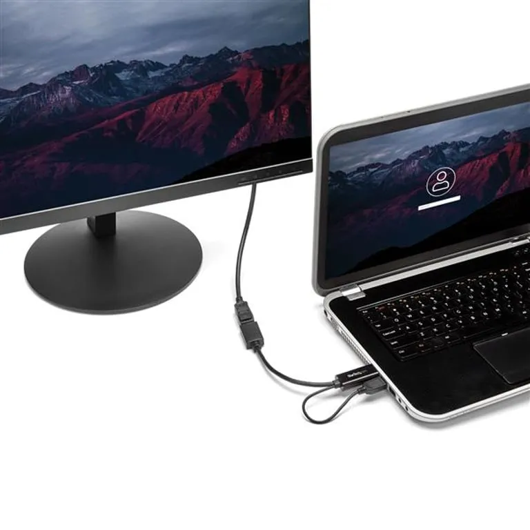 startech-hd2dp-adapter-kablowy-czarny