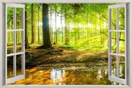 naklejka-na-sciane-do-salonu-sypialni-okno-las-drzewa-slonce-natura-120x80