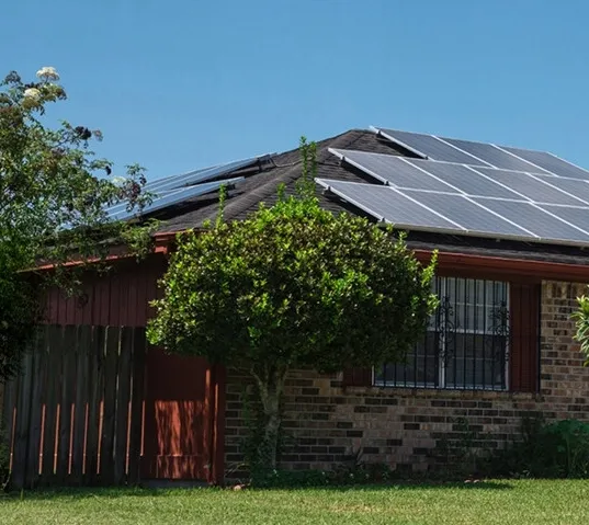 shelly-pro-wifi-rodzaj-inny