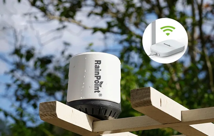 sterownik-rainpoint-251244-wifi-rodzaj-sterownik-seria-251244