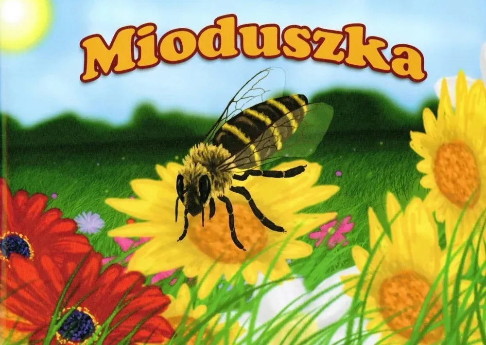 ksiazka-mioduszka-stan-nowy