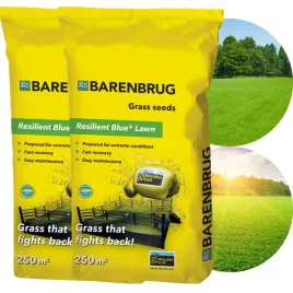 trawa-barenbrug-wytrzymala-resilient-blue-10-kg-odporna-na-deptanie-top