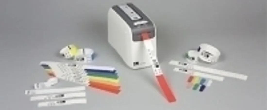 zebra-z-band-direct-zolty