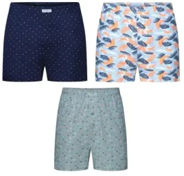 3x-henderson-bokserki-meskie-k315-k316-k317-xxl