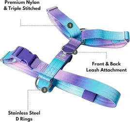 szelki-dla-psa-spark-paws-regulowane-gradient-niebieski-fioletowy-rozmiar-m