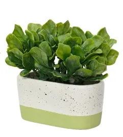 roslina-zielona-dekoracyjna-sztuczna-1-szt-do-salonu-biura-14x7x15-cm
