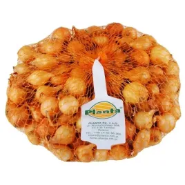 cebula-dymka-zolta-do-sadzenia-lagodny-smak-05-kg-15-21-mm-wiosenna